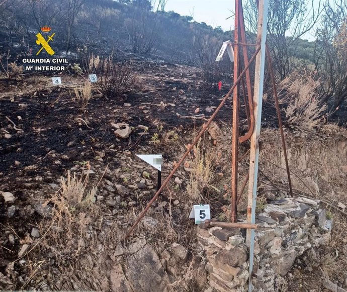 Imagen de los efectos del incendio forestal en Villarta de los Montes