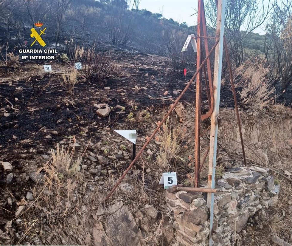 Imagen de los efectos del incendio forestal en Villarta de los Montes