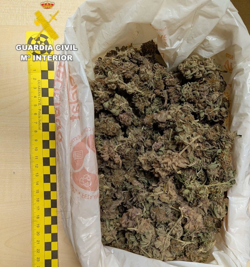 Marihuana intervenida