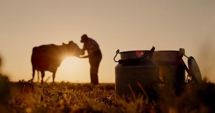 Vaca de leche con las lecheras en primer plano.