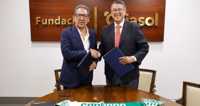 Fundación Cajasol