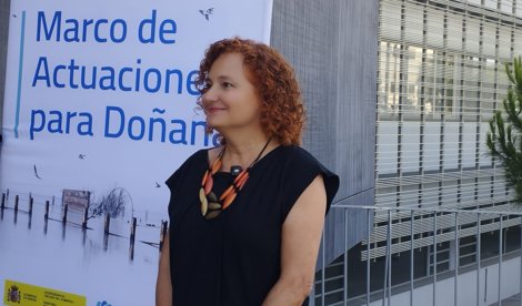 notibrasil política