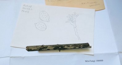 Laboratorio