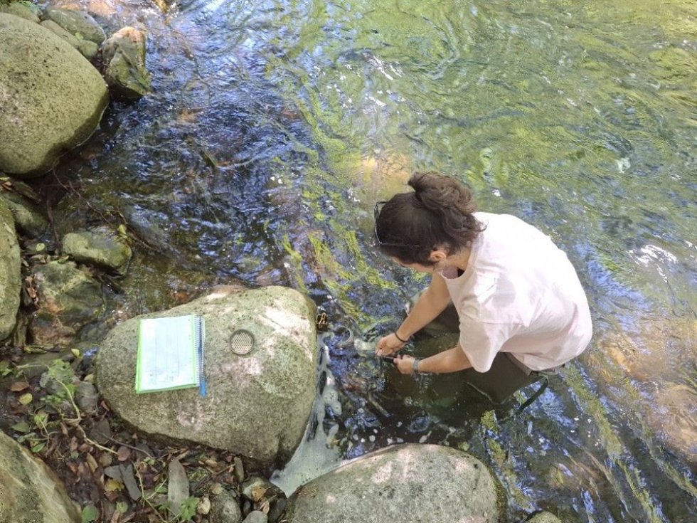 Punto de monitoraje en el río Noguera Pallaresa
