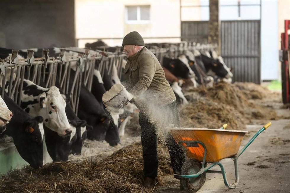 Archivo - Ganaderos y agricultores en Trabada
