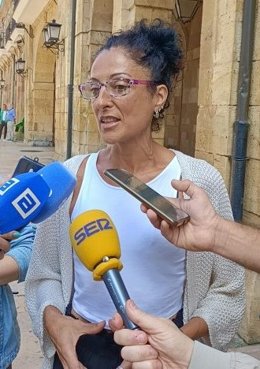 La concejala del Grupo Municipal Socialista en el Ayuntamiento de Oviedo, Natalia Sánchez Santa Bárbara.