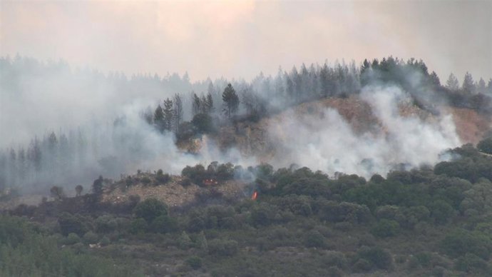 Incendio de Congosto (León), a 25 de junio de 2026.