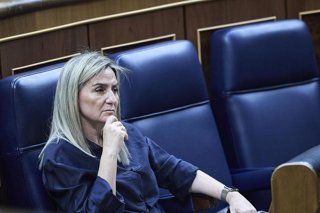 La ministra de Educación, Milagros Tolón,  