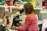 Foto: Dos estudios revelan el vínculo del cerebro con la caquexia, la obesidad y la infertilidad