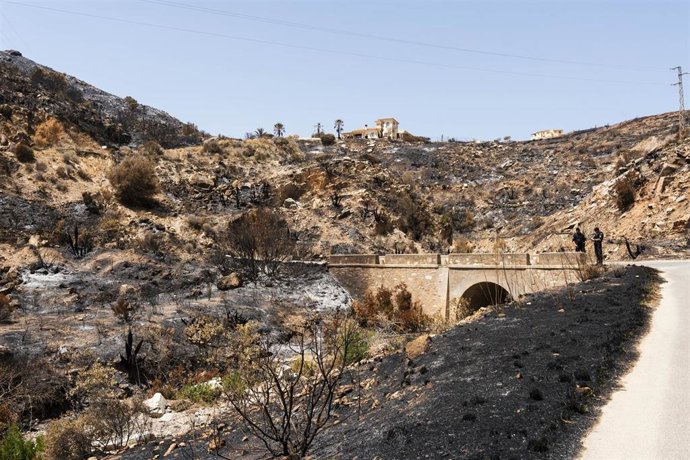 Imagen de la zona afectada por el incendio de Los Gallardos en el término municipal de Bédar (Almería). A 14 de julio de 2026 en Bédar, Almería (Andalucía, España).