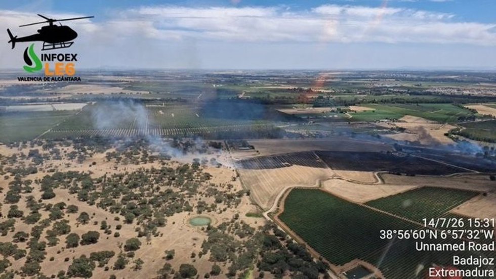 Imagen del incendio forestal en Badajoz a las 15,30 horas del 14 de julio de 2026