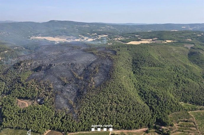 L'incendi a Aiguamúrcia (Tarragona) aquest dilluns