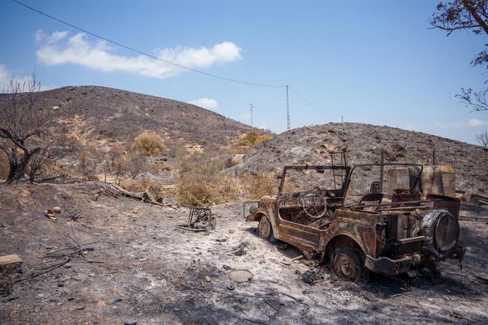 Zona afectada por el incendio de Los Gallardos (Almería).