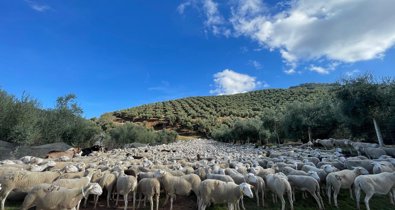 Andalucía
