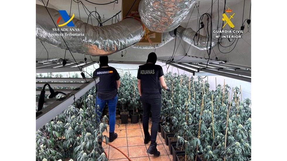 Operación conjunta de la Agencia Tributaria y la Guardia Civil contra el cultivo de marihuana en la provincia de Granada.