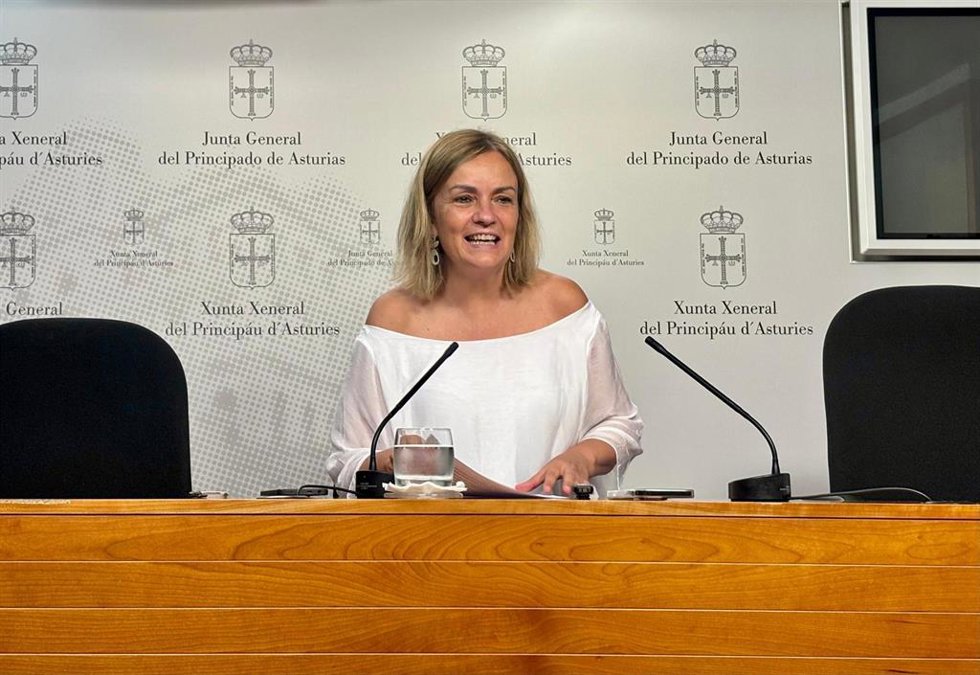 La diputada de Somos Asturies en el Grupo Mixto, Covadonga Tomé