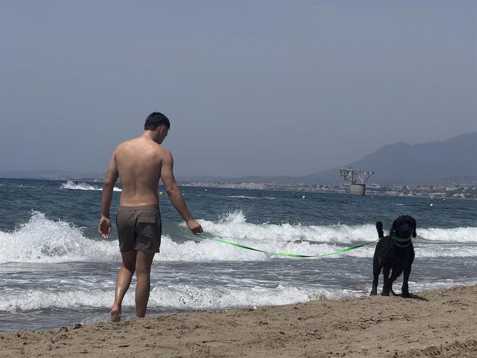 Playa canina en Marbella