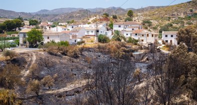 Medio Ambiente