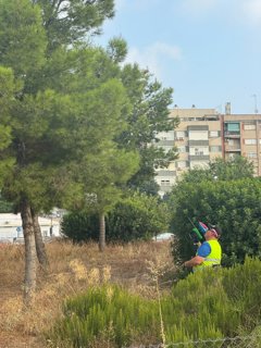 Valencià