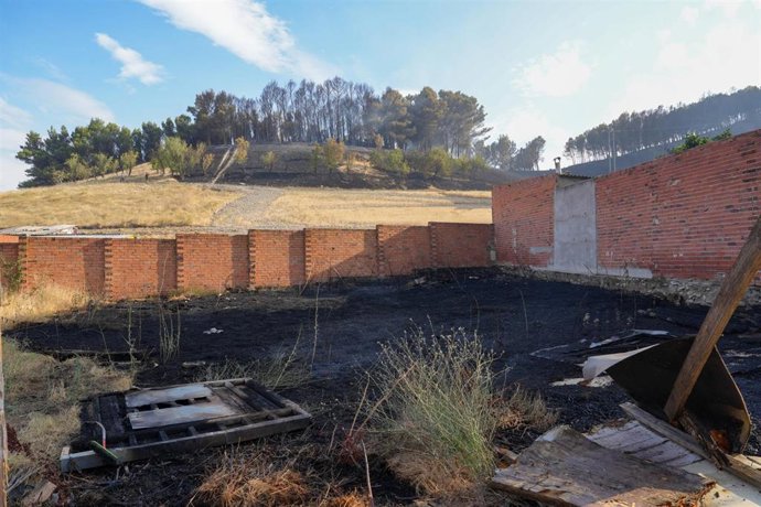 Zona calcinada a causa del incendio forestal de Íscar, a 14 de julio de 2026, en Íscar, Valladolid, Castilla y León (España). La Junta de Castilla y León ha declarado el Índice de Gravedad Potencial (IGR) 2 un incendio forestal, por amenaza seria a poblac