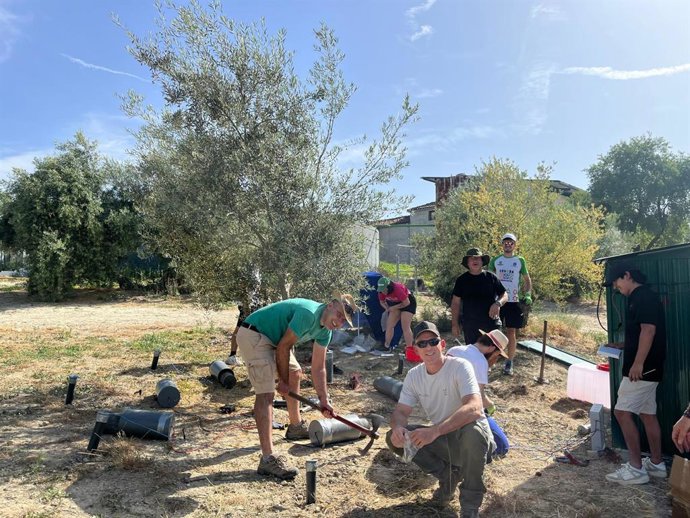 Ensayos para eliminar pesticidas orgánicos y recuperar el cobre en suelos de olivar