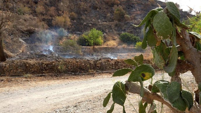 Zonas de alto valor ecológico afectadas por el incendio de Los Gallardos (Almería).