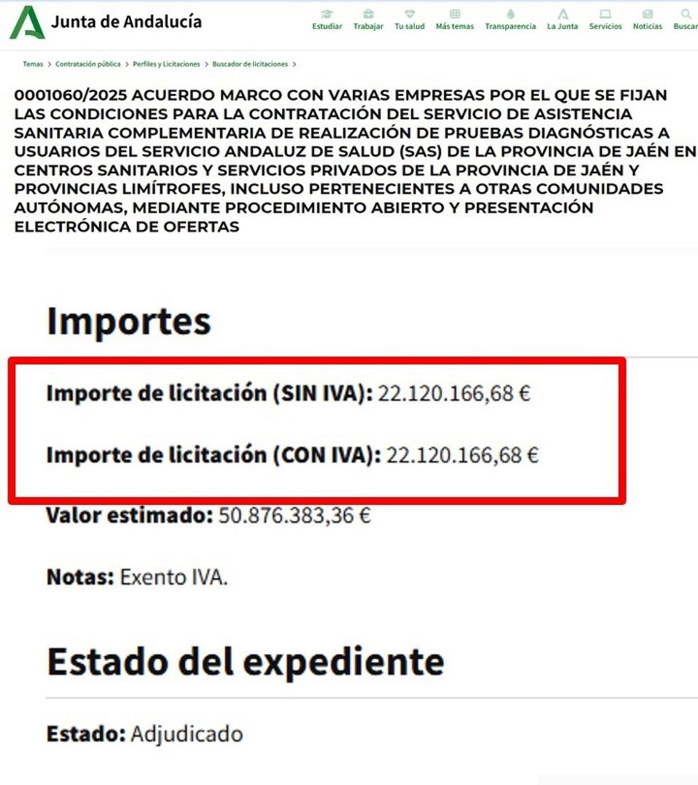 Pantallazo de la licitación