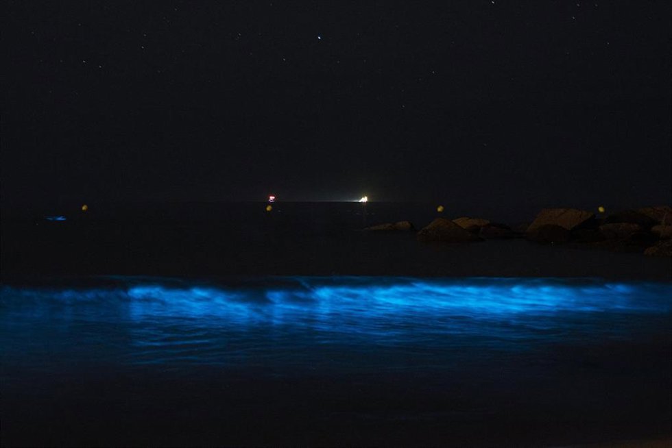 Mar de Ardora en la playa de A Lanzada, a 15 de julio de 2026, en Pontevedra, Galicia (España).