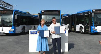 Jerez al día