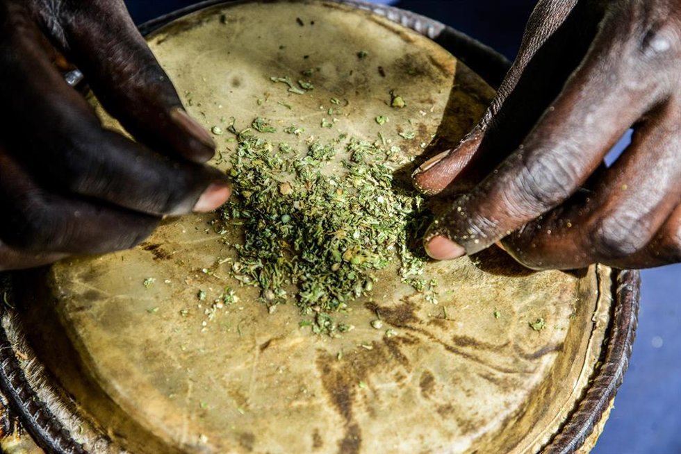 Archivo - Un miembro de la comunidad rastafari en Kenia prepara el cannabis para su consumo.