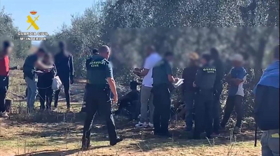 Imagen de la desarticulación de la trama de explotación laboral agrícola