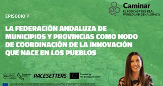Federación Andaluza de Municipios y Provincias