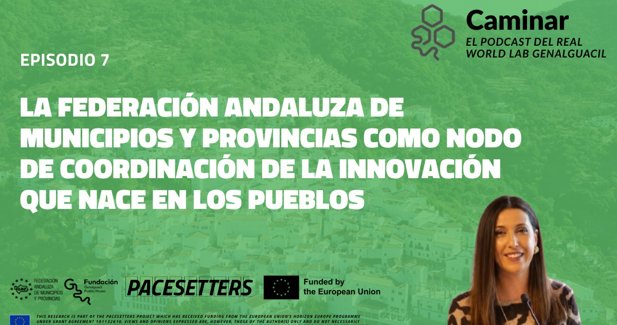 Federación Andaluza de Municipios y Provincias
