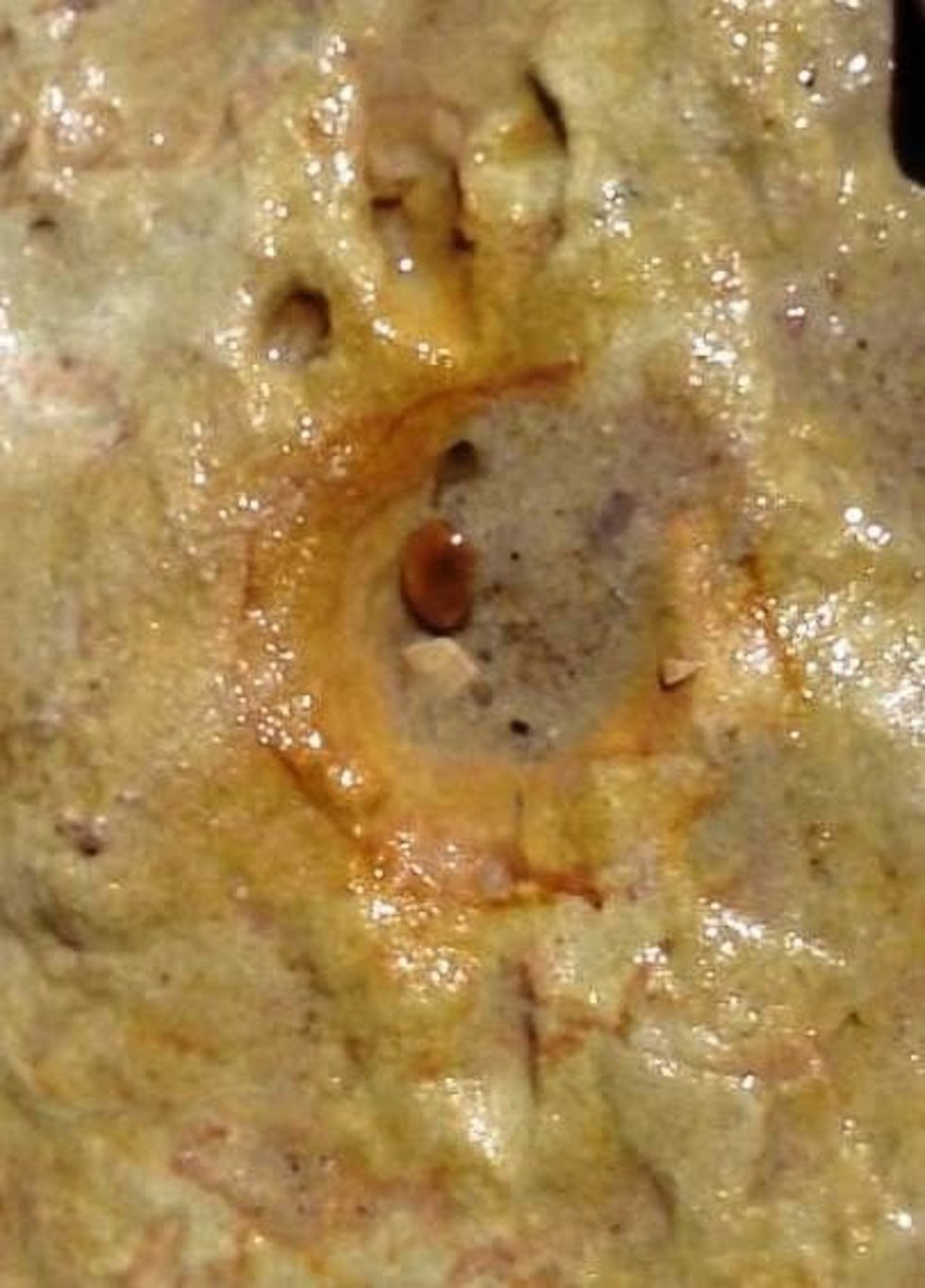Archivo - Una de las huellas de pisadas de neandertales halladas en Matalascañas (Huelva).
