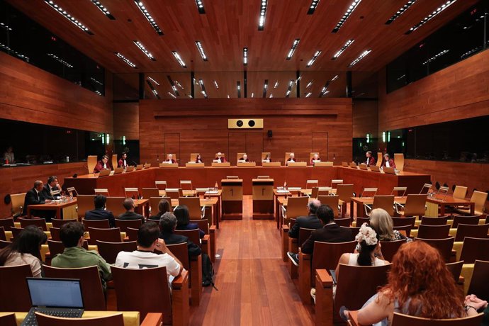 El Tribunal de Justícia de la Unió Europea (TJUE) 