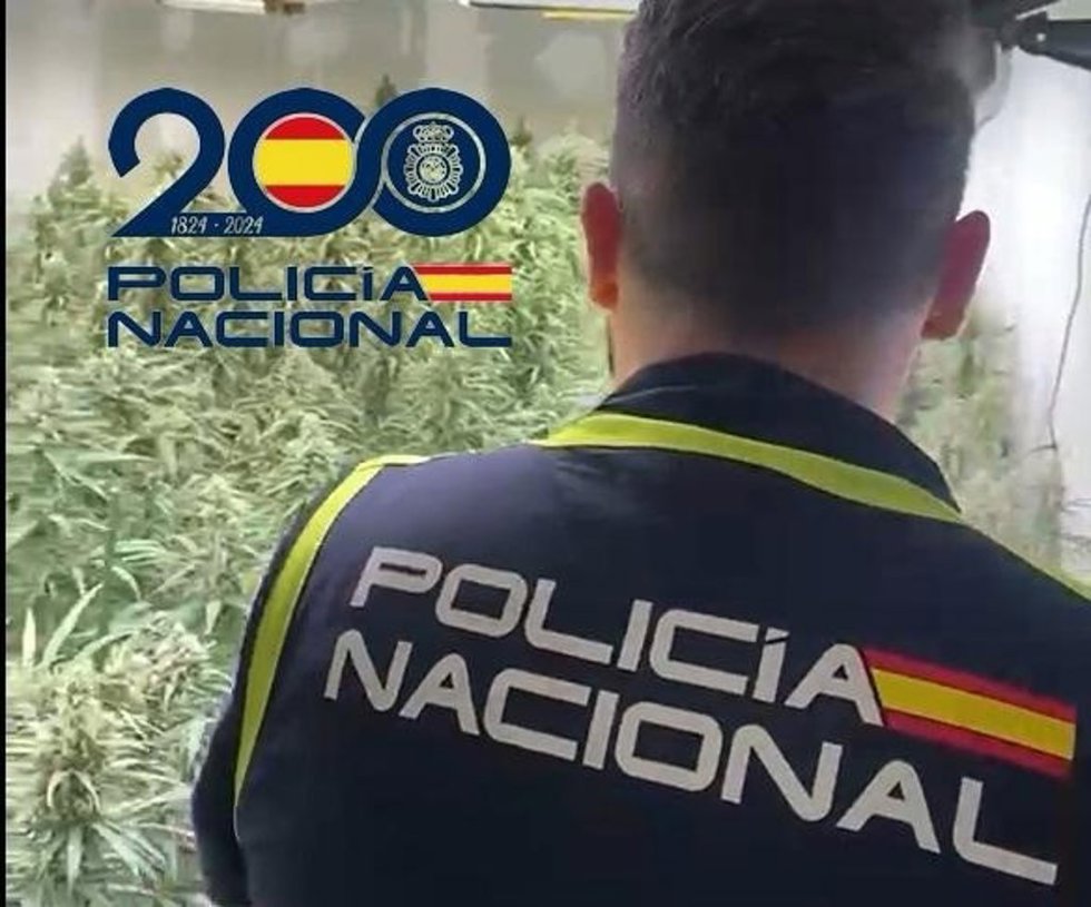 Imagen de un agente de la Policía Nacional en una plantación de marihuana