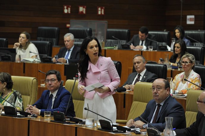 La consejera de Salud y Atención a la Dependencia, Sara García Espada, interviene en el pleno de la Asamblea