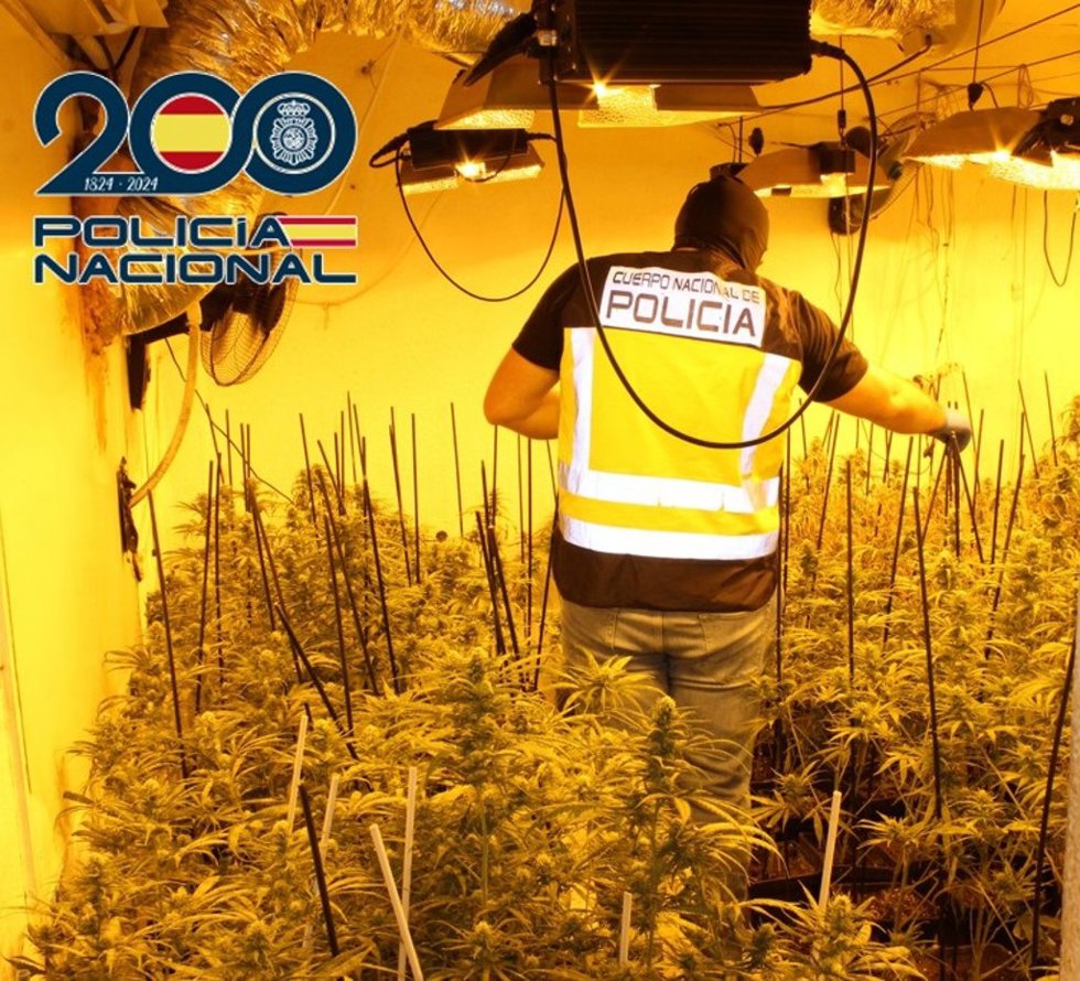 Agente de la Policía Nacional junto a una plantación de marihuana.