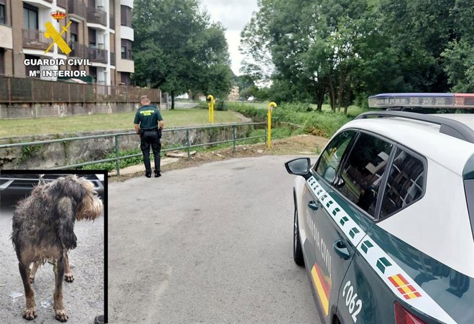 Fotografía del lugar del rescate y en el recuadro el perro tras ser extraído del agua