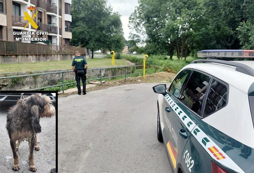 Fotografía del lugar del rescate y en el recuadro el perro tras ser extraído del agua