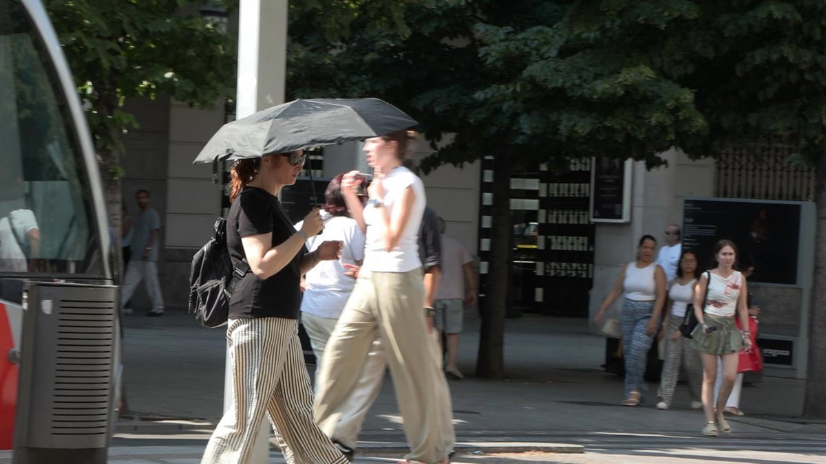 El calor podría perder intensidad en la primera mitad de agosto, aunque el ambiente seguirá muy caluroso, según Meteored