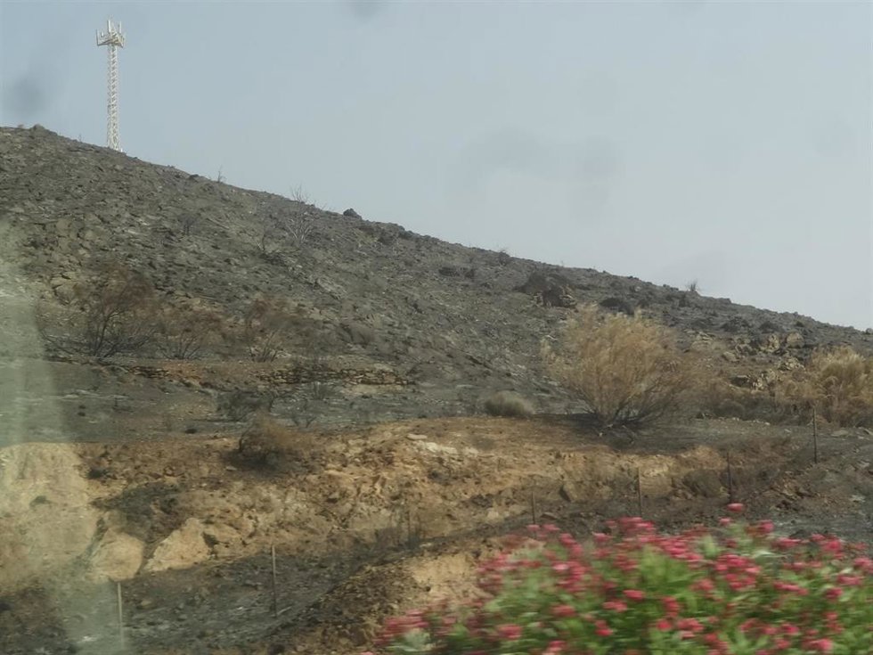 Zona calcinada por el incendio forestal de Los Gallardos en el término municipal de Bédar (Almería).