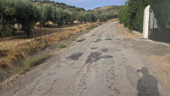 Imagen de un camino rural en el que, según el PSOE, ya se ha intervenido por la Junta