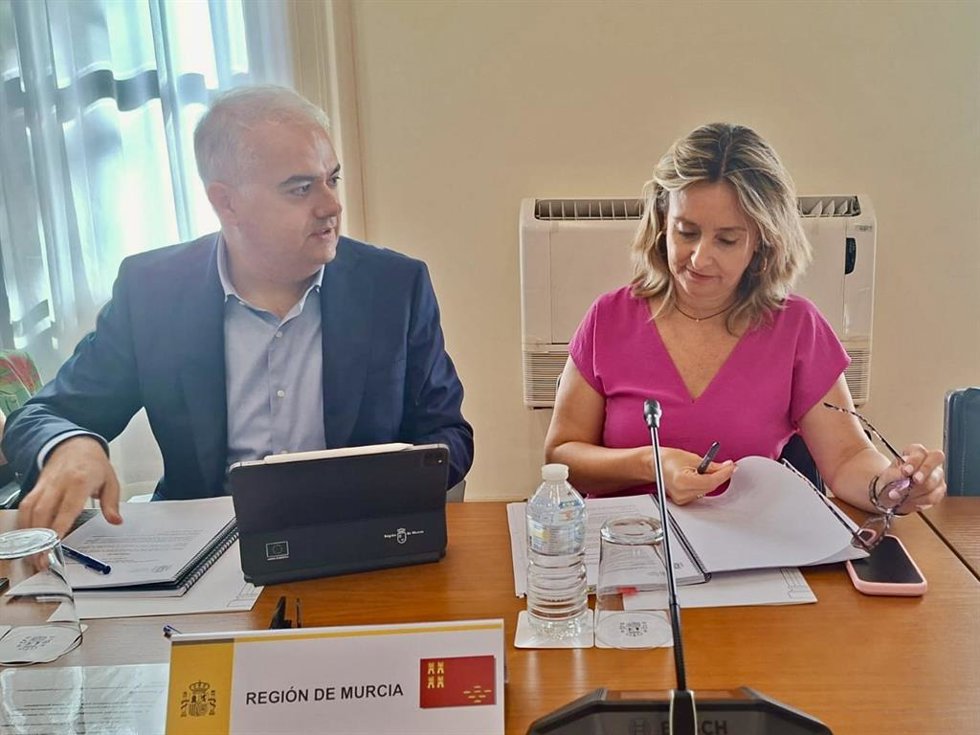 La Consejera De Política Social, Familias E Igualdad, Conchita Ruiz, Durante La Conferencia Sectorial De Infancia Y Adolescencia