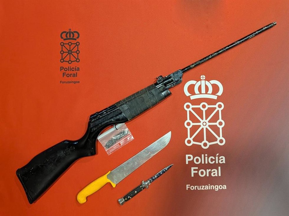 Armas intervenidas.