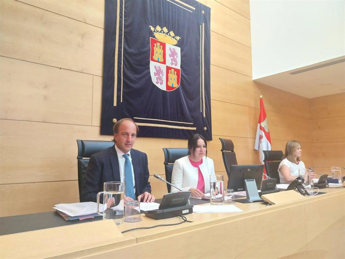 Pino comparece en las Cortes para presentar el programa de legislatura de su departamento