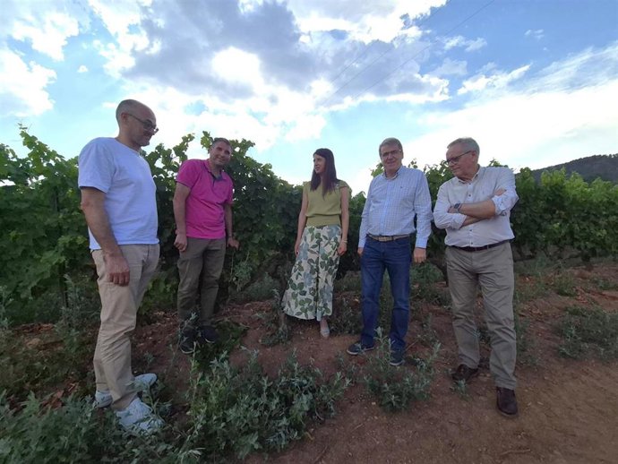 La conselleira do Medio Rural, María José Gómez, durante una visita a Bodegas Ladario.