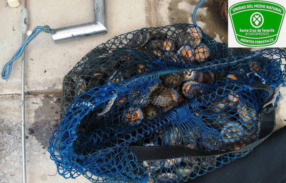 Lapas intervenedidas a un pescador furtivo en Santa Cruz de Tenerife