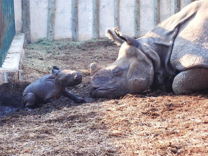 Brutus (i) junto a su madre Shiwa (d)