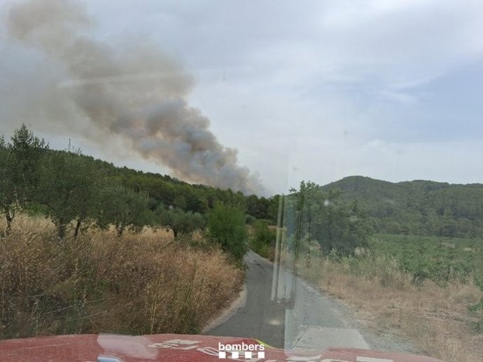 L'incendi a Aiguamúrcia (Tarragona)